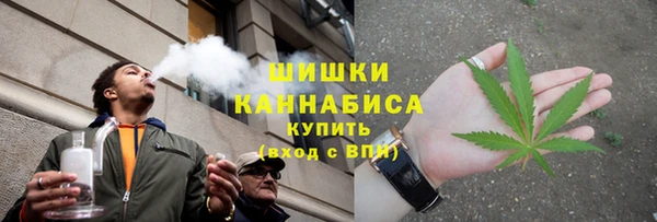 сатива Куйбышев