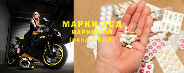 сатива Куйбышев