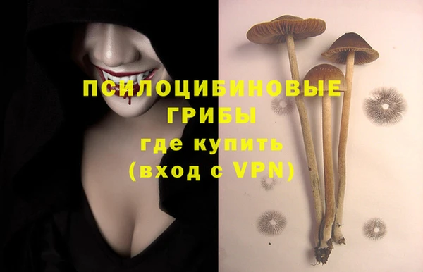 прущий лед Кулебаки