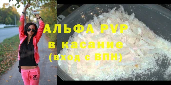 сатива Куйбышев