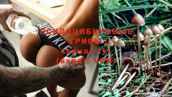 прущий лед Кулебаки