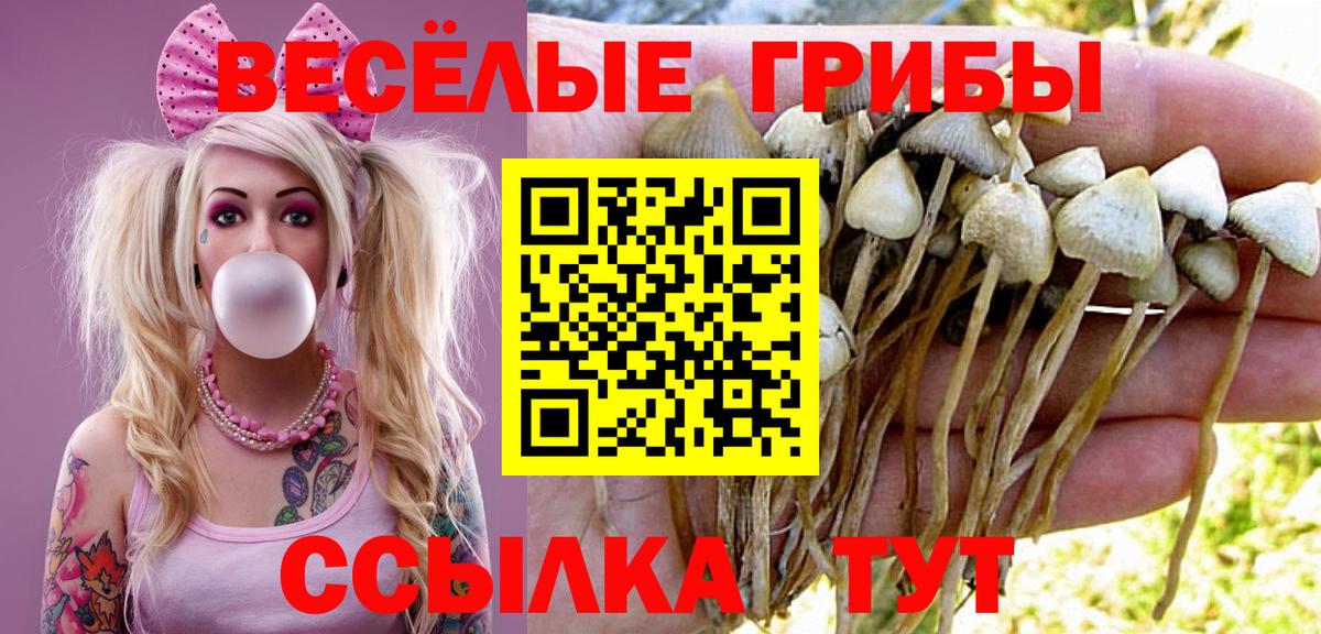 Галлюциногенные грибы ЛСД  Вход с VPN  Усть-Илимск 