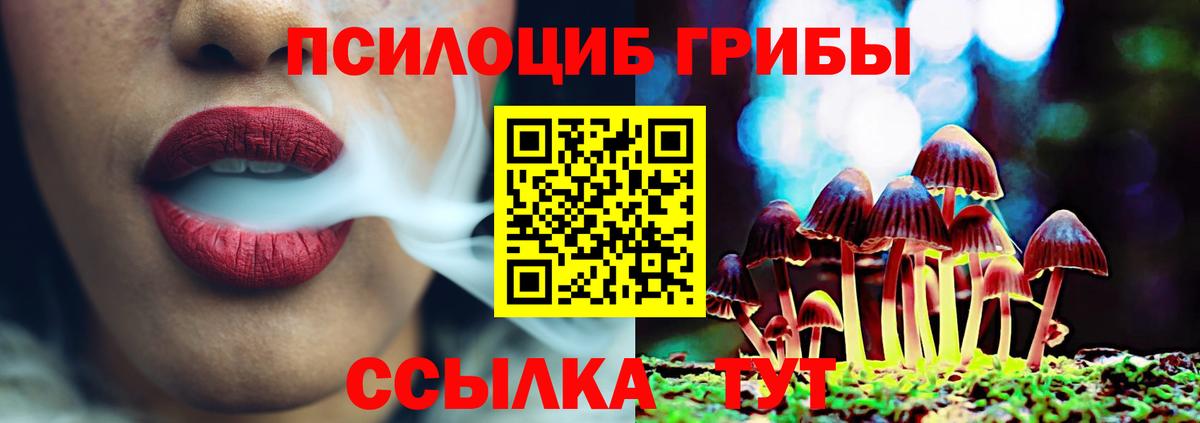 Галлюциногенные грибы GOLDEN TEACHER Усть-Илимск