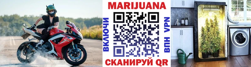Конопля гибрид  наркота  Усть-Илимск 